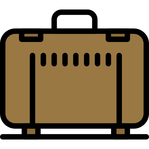 koffer Darius Dan Lineal Color icon