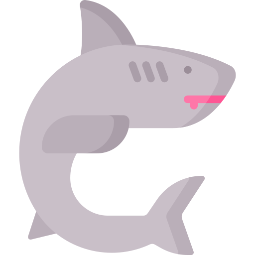 rekin Special Flat ikona