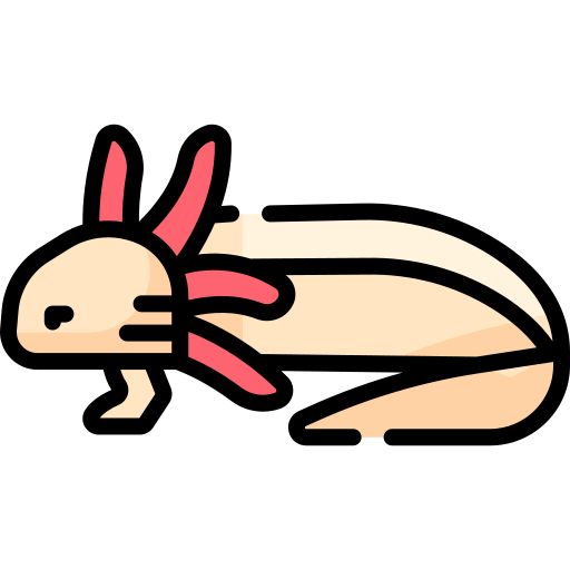 Axolotl Special Lineal color icon