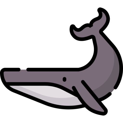baleine Special Lineal color Icône
