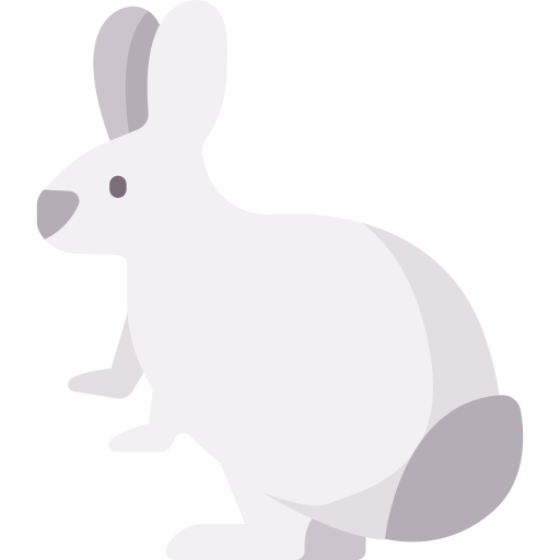 Rabbit Special Flat icon