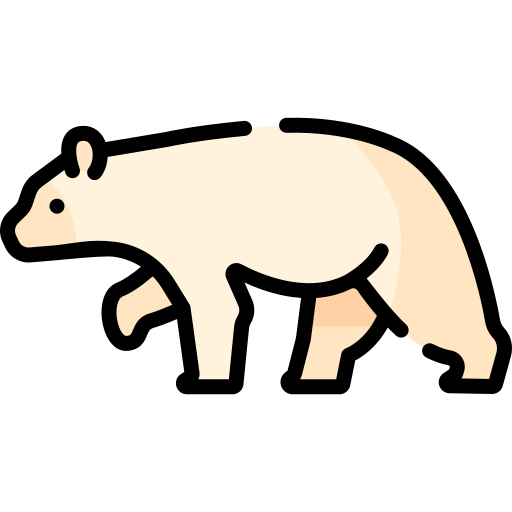 Bear Special Lineal color icon