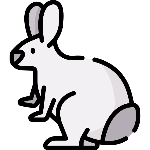 Кролик Special Lineal color иконка