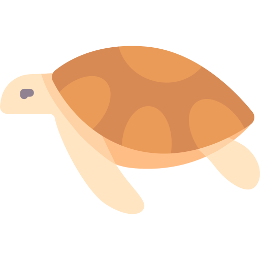 schildkröte Special Flat icon