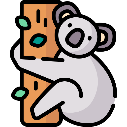 Koala Special Lineal color icon