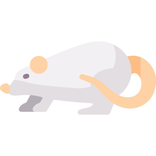 ratte Special Flat icon