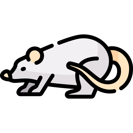 ratte Special Lineal color icon