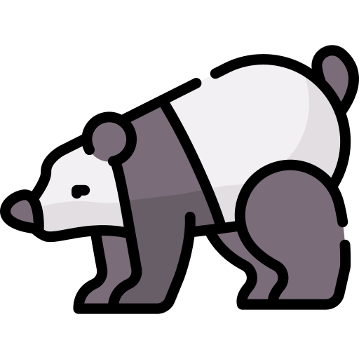 Panda Special Lineal color icon