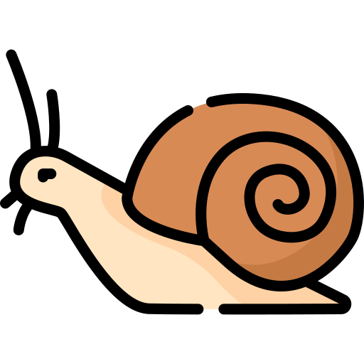 caracol Special Lineal color icono