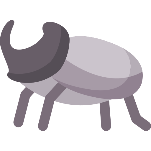 escaravelhos Special Flat Ícone