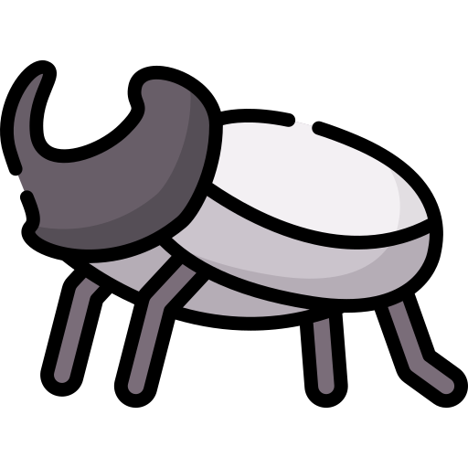 escarabajos Special Lineal color icono