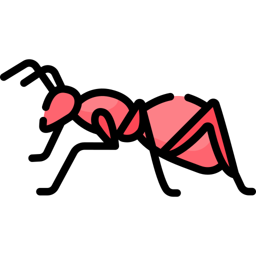 hormiga Special Lineal color icono