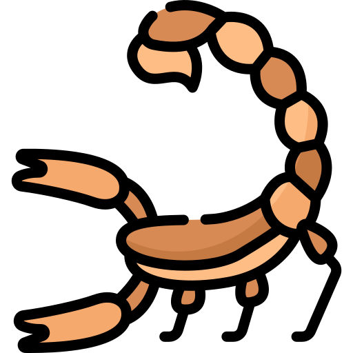 Скорпион Special Lineal color иконка
