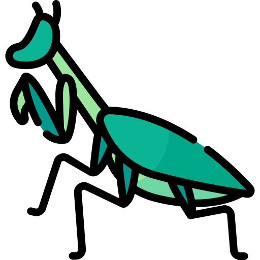 mantis religiosa Special Lineal color icono