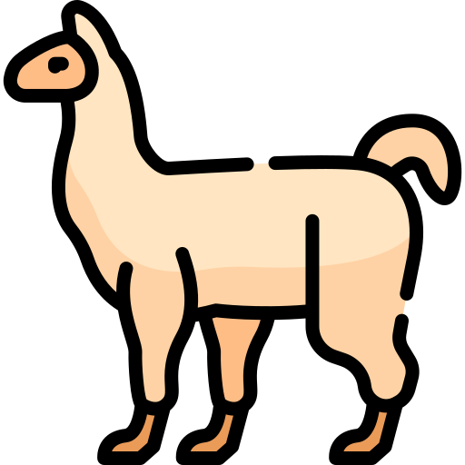 Llama Special Lineal color icon