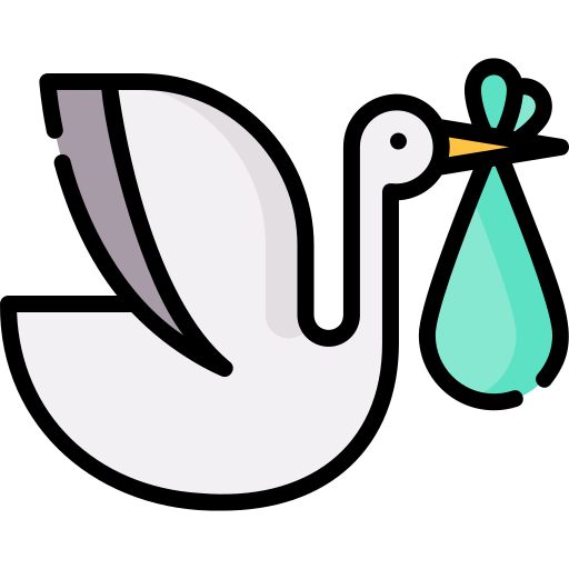 Stork Special Lineal color icon