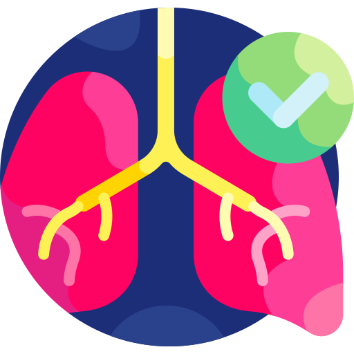 肺 Detailed Flat Circular Flat icon