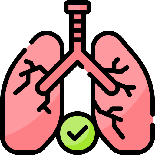 pulmões Special Lineal color Ícone