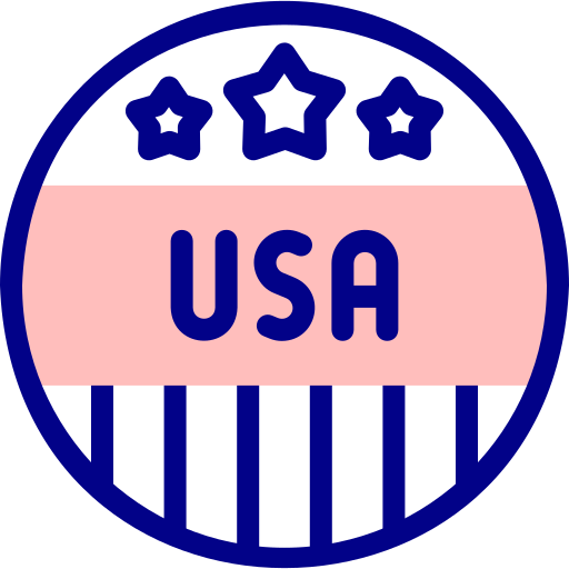 アメリカ製 Detailed Mixed Lineal color icon