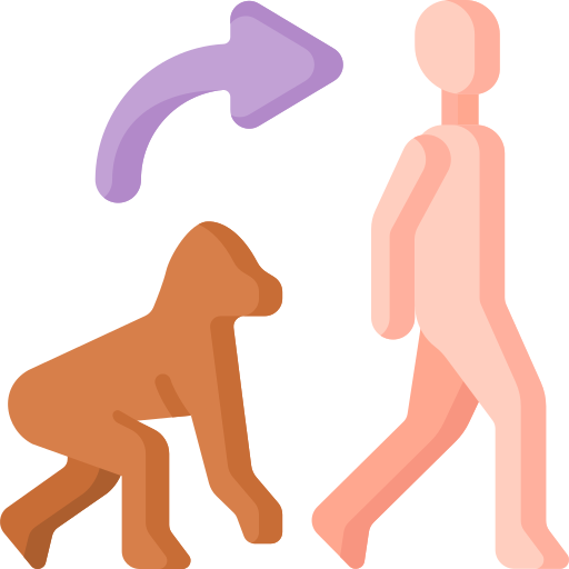 Эволюция человека Special Flat иконка