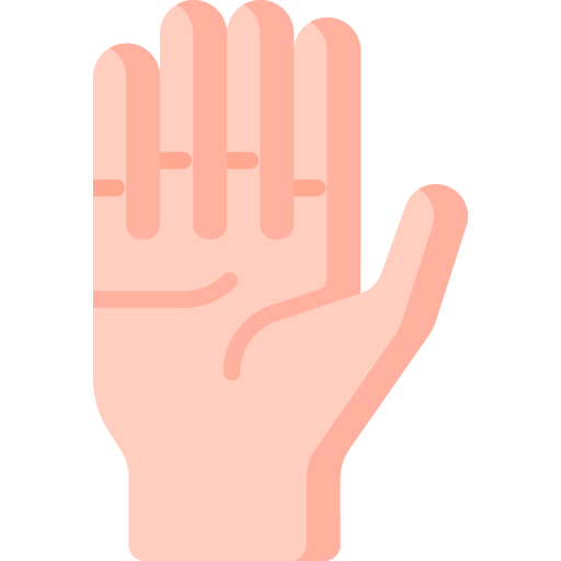 Hands and gestures Special Flat icon