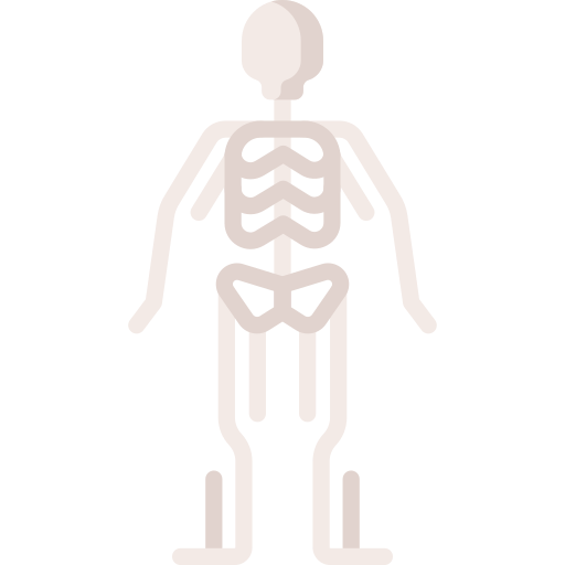 Скелет Special Flat иконка