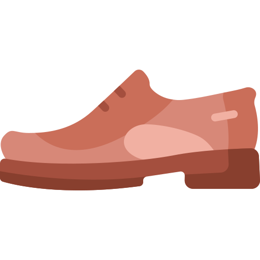 Shoes Special Flat icon