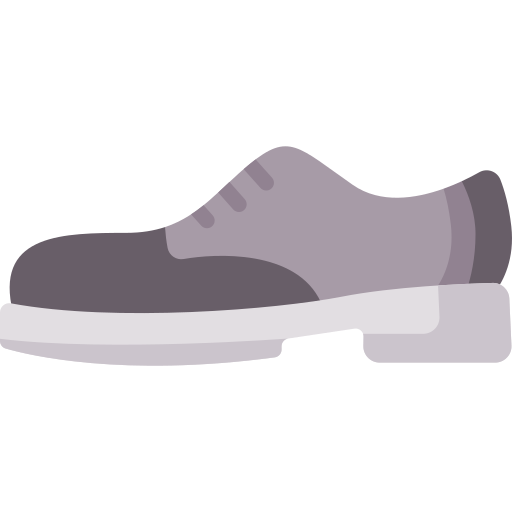 Shoes Special Flat icon