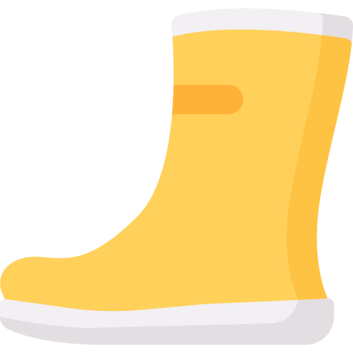 Rain boots Special Flat icon