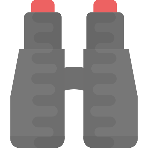 Binoculars Flat Color Flat icon