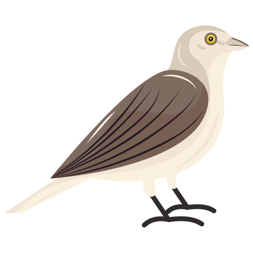 Sparrow Generic Flat icon
