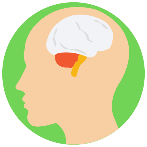 cervello umano Generic Flat icona