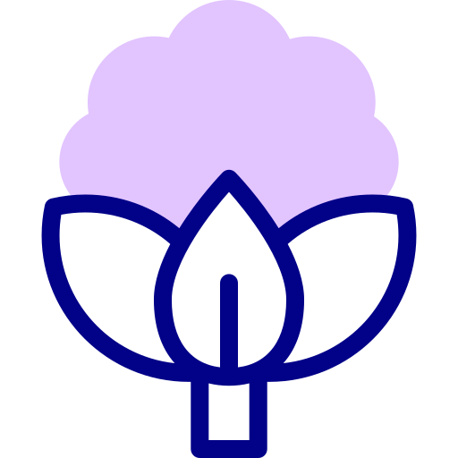 couve-flor Detailed Mixed Lineal color Ícone
