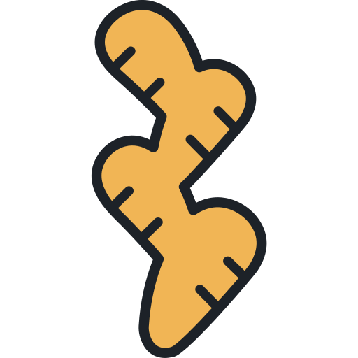 Ginger Generic Outline Color icon
