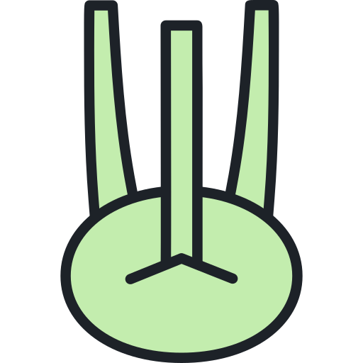 kohlrabi Generic Outline Color icon