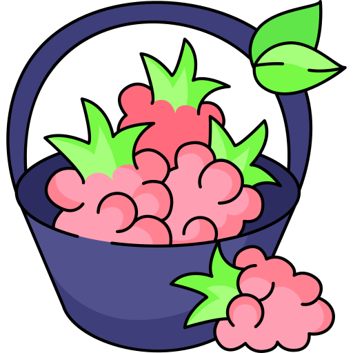 himbeeren Generic Thin Outline Color icon