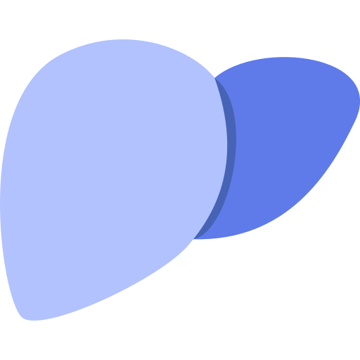 Liver Generic Flat icon