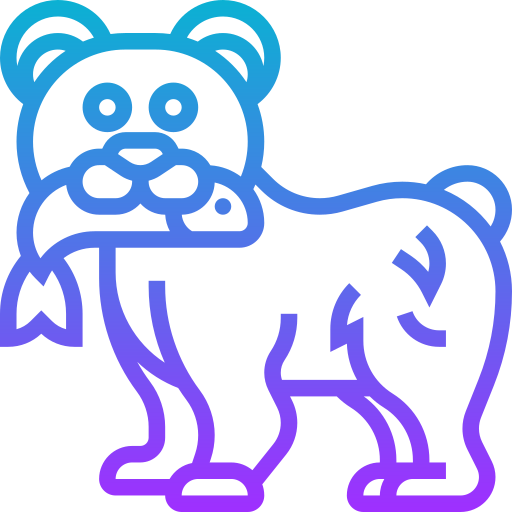 곰 Meticulous Gradient icon