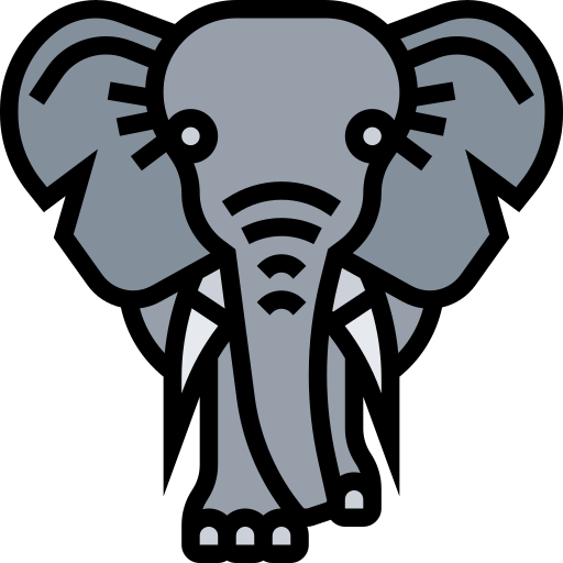 elefant Meticulous Lineal Color icon