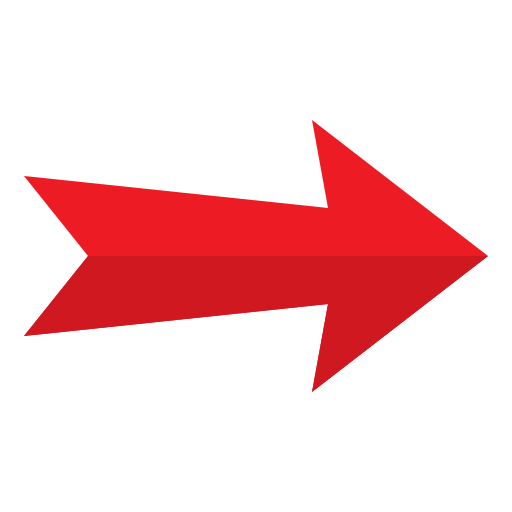 Right arrow srip Flat icon