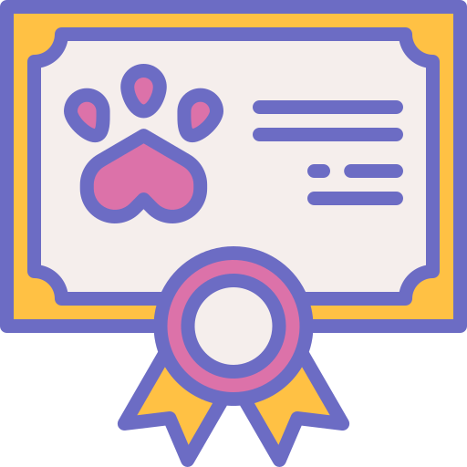 Certificate Generic Outline Color icon