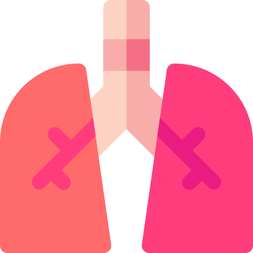 Lungs Basic Rounded Flat icon
