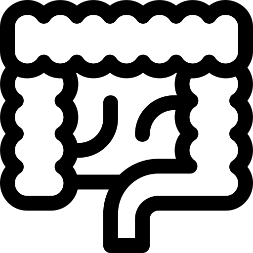 intestins Basic Rounded Lineal Icône