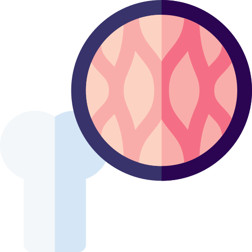 Bone marrow Basic Rounded Flat icon