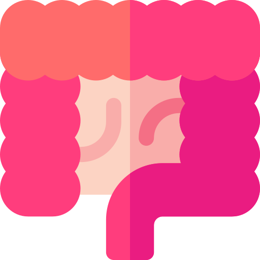 Intestines Basic Rounded Flat icon