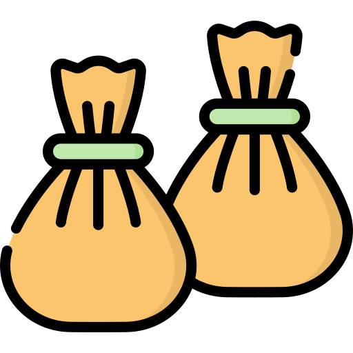 Dumplings Special Lineal color icon