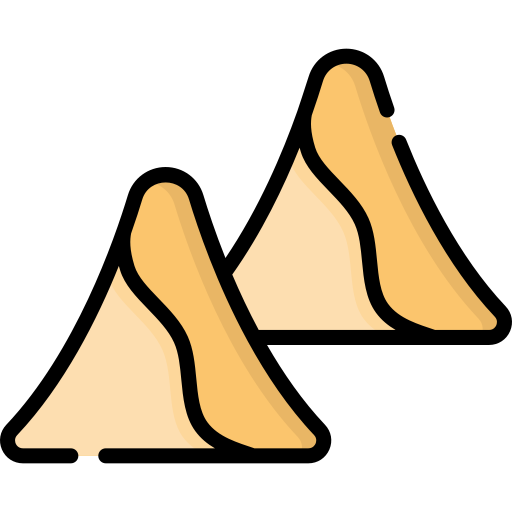 Samosa Special Lineal color icon