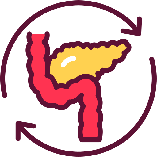 Pancreas Generic Outline Color icon