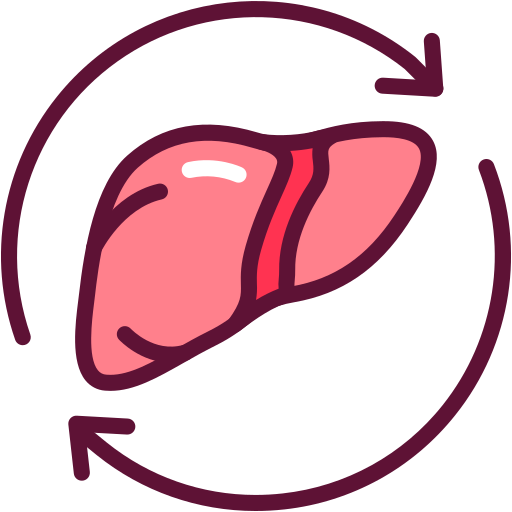 Liver organ Generic Outline Color icon
