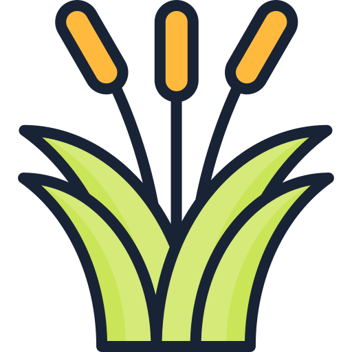 Reed Generic Outline Color icon